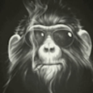 Meet your Posher, Jeramie